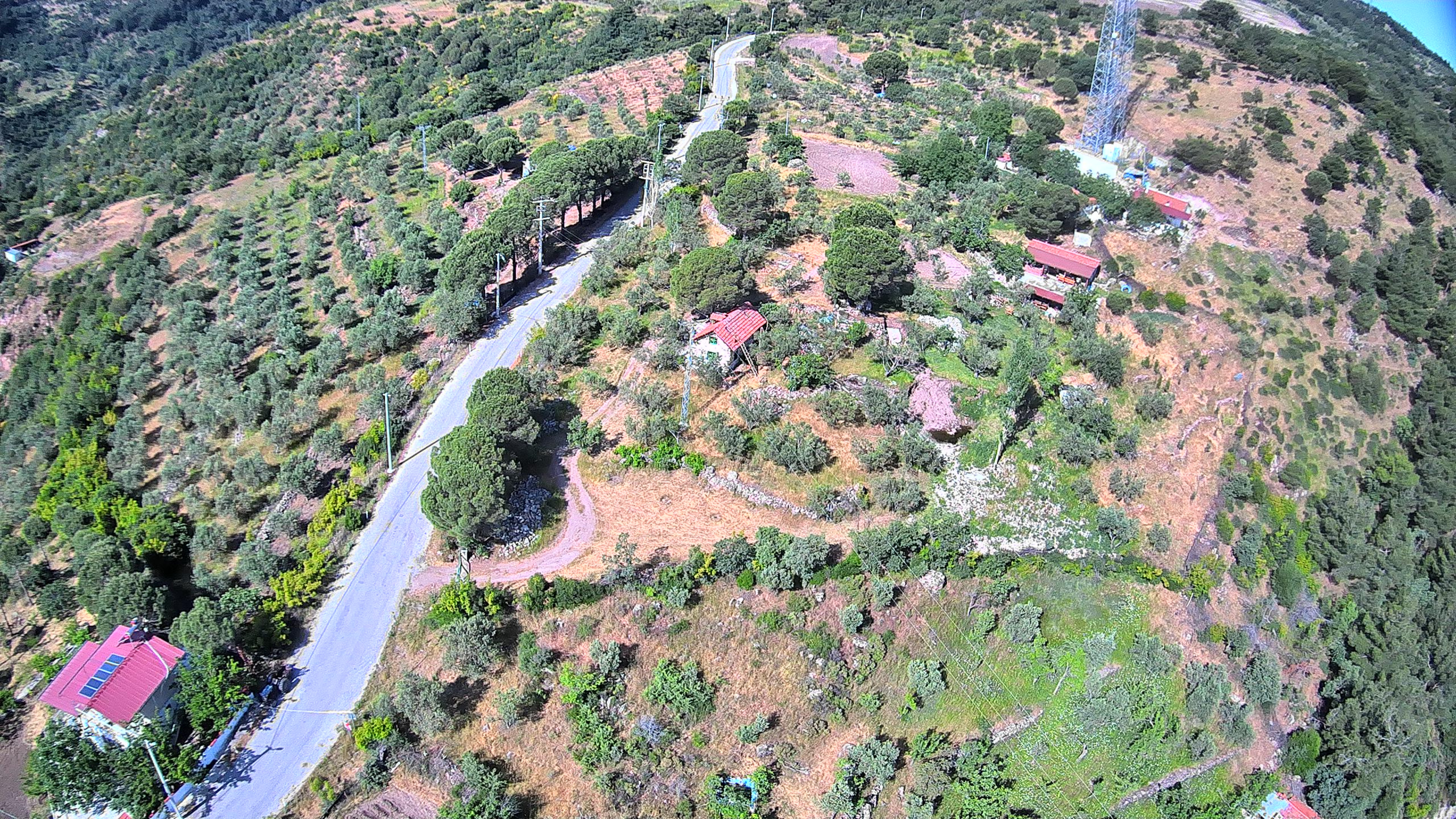 Pindasosevi Genel Görünüm